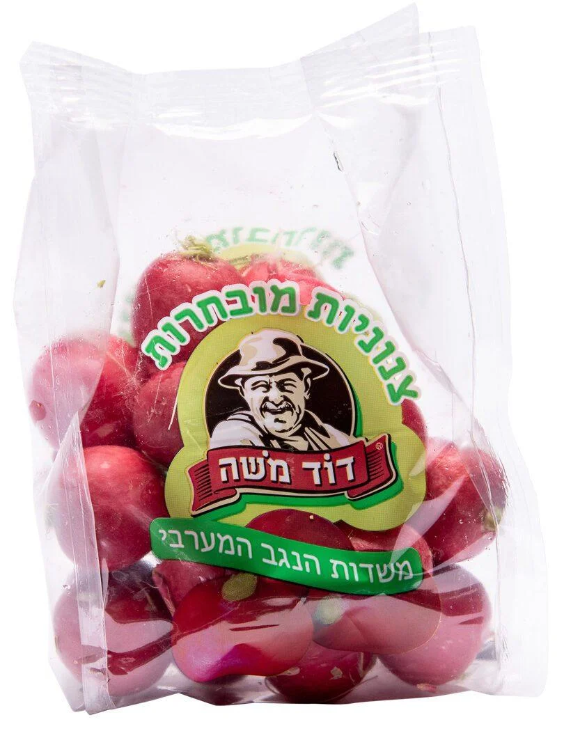 צנונית דוד משה